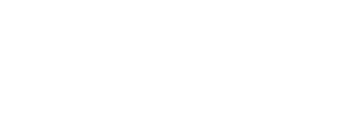 THE CITY
